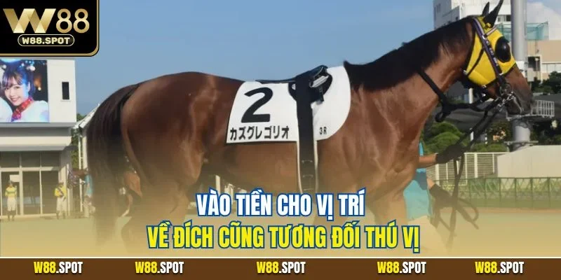 Vào tiền cho vị trí về đích cũng tương đối thú vị